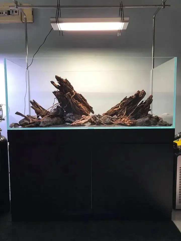 How to make nature aquarium - IAPLC 2020 Rank 163 - Nature Wing