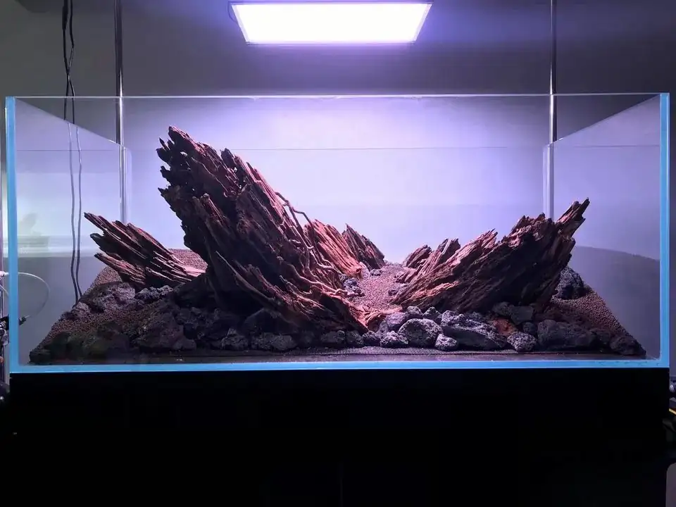 How to make nature aquarium - IAPLC 2020 Rank 163 - Nature Wing