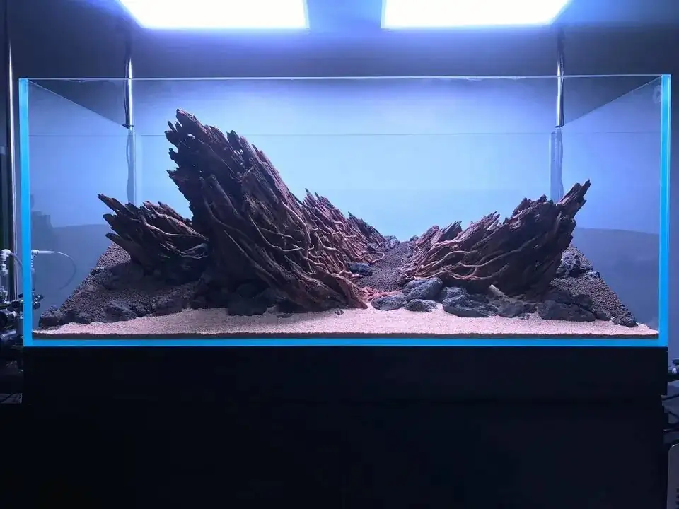How to make nature aquarium - IAPLC 2020 Rank 163 - Nature Wing
