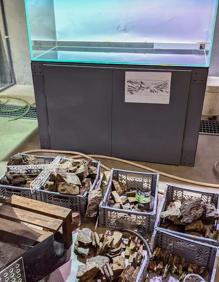 Steps progression IAPLC 2020 Rank 19 Eternal Flow - Katsuki Tanaka / Japan