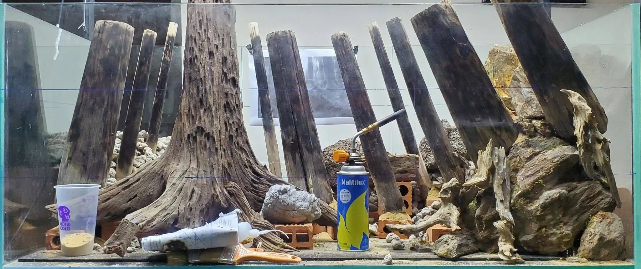 How to make a forest aquarium ranked 201th in the world - IAPLC 2020 - Kaindy