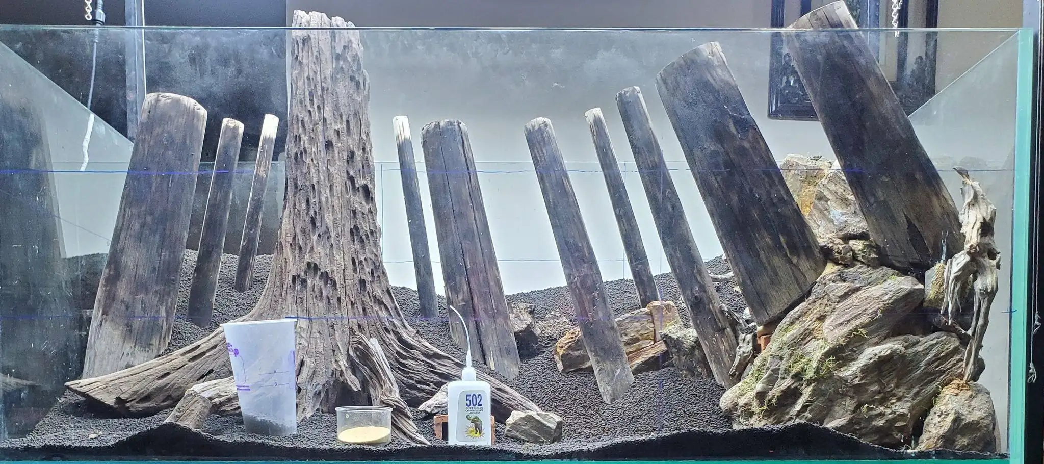 How to make a forest aquarium ranked 201th in the world - IAPLC 2020 - Kaindy