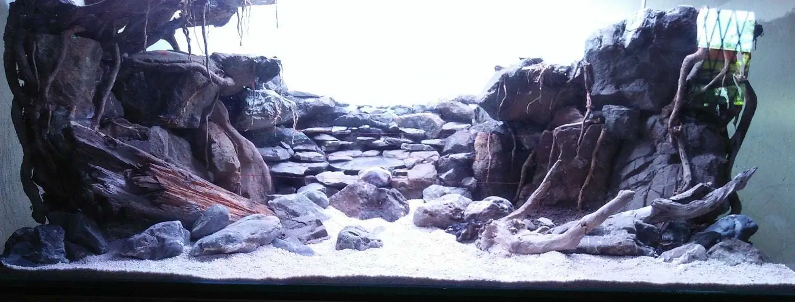 Step by step progression IAPLC 2020 Rank 221 - Fallen Kingdom