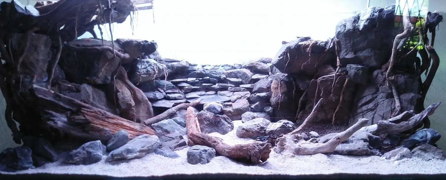 Step by step progression IAPLC 2020 Rank 221 - Fallen Kingdom