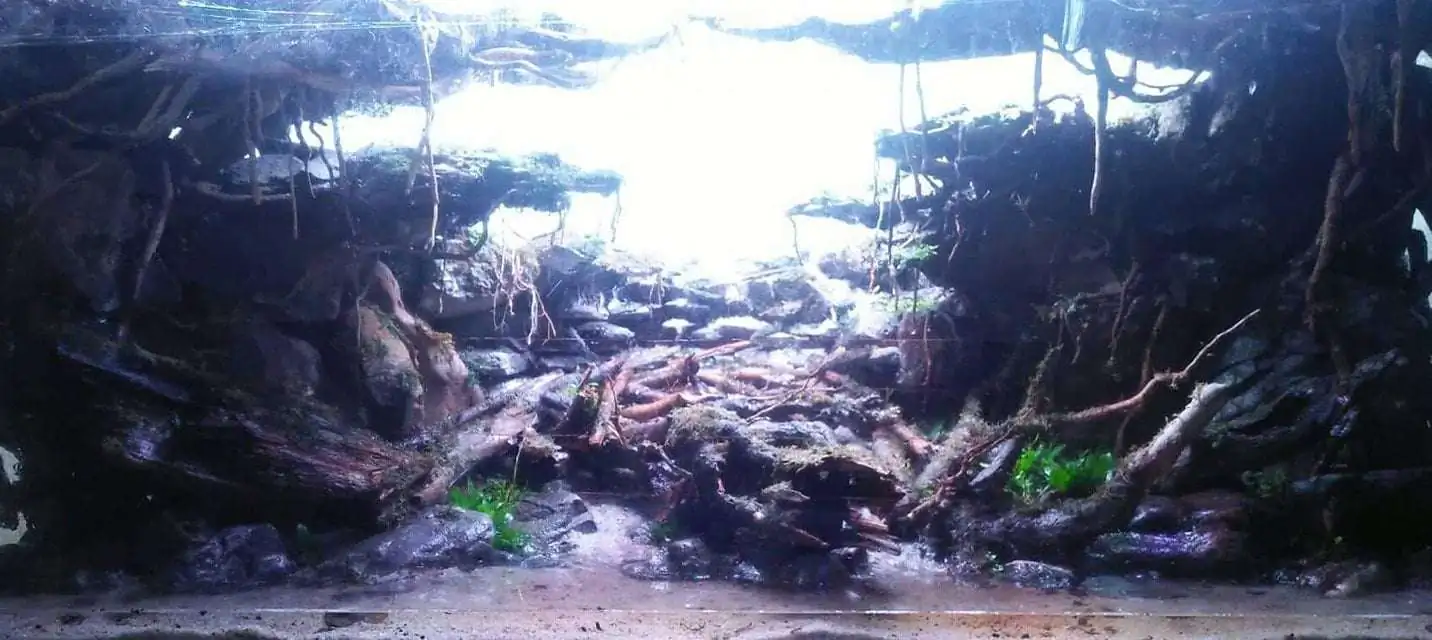 Step by step progression IAPLC 2020 Rank 221 - Fallen Kingdom