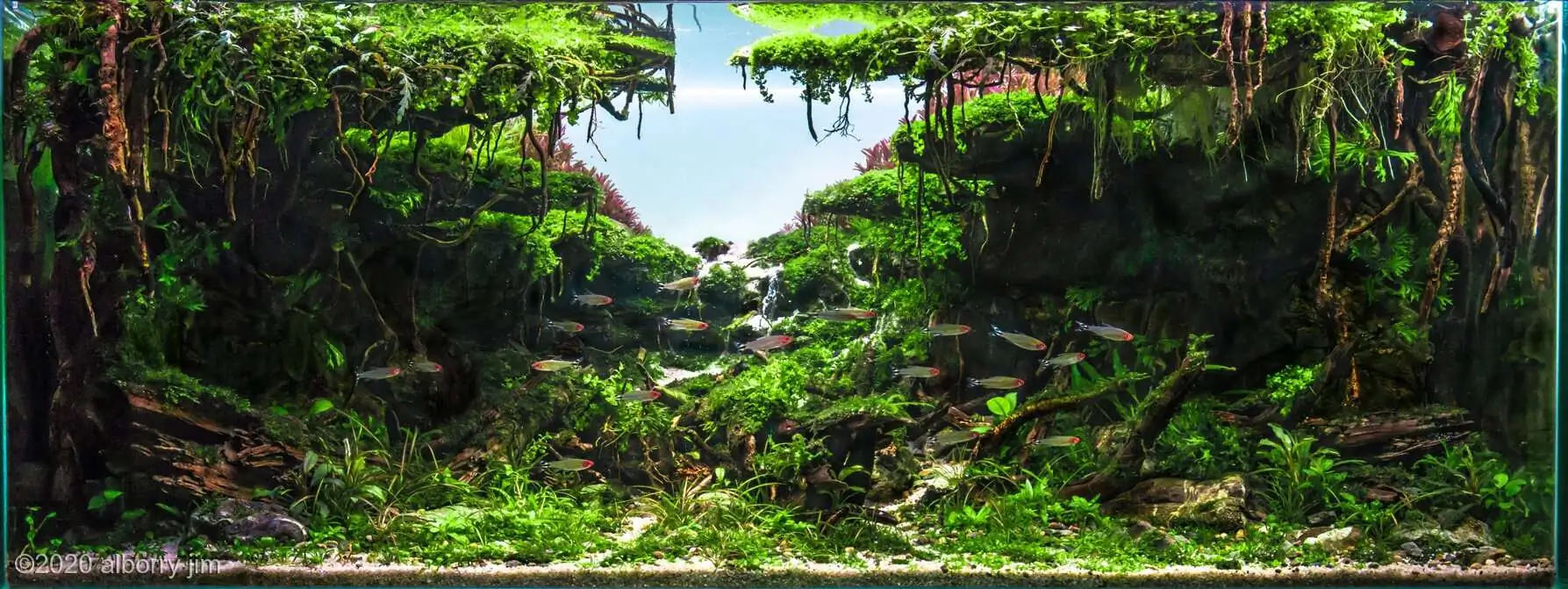 Step by step progression IAPLC 2020 Rank 221 - Fallen Kingdom