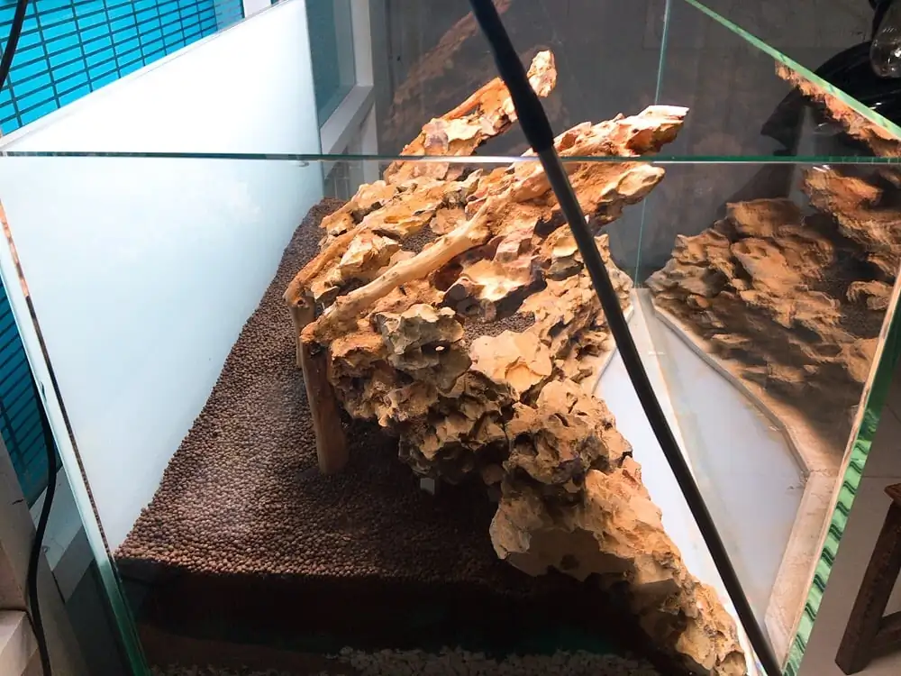 How to make nature aquarium - IAPLC 2020 Rank 228 - Into the Sky