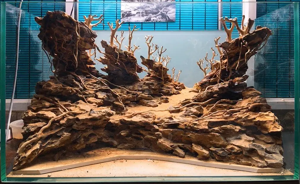 How to make nature aquarium - IAPLC 2020 Rank 228 - Into the Sky