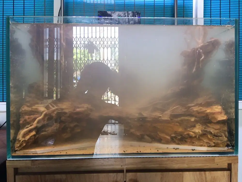 How to make nature aquarium - IAPLC 2020 Rank 228 - Into the Sky