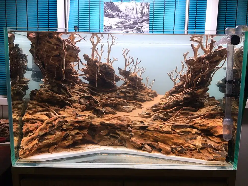How to make nature aquarium - IAPLC 2020 Rank 228 - Into the Sky