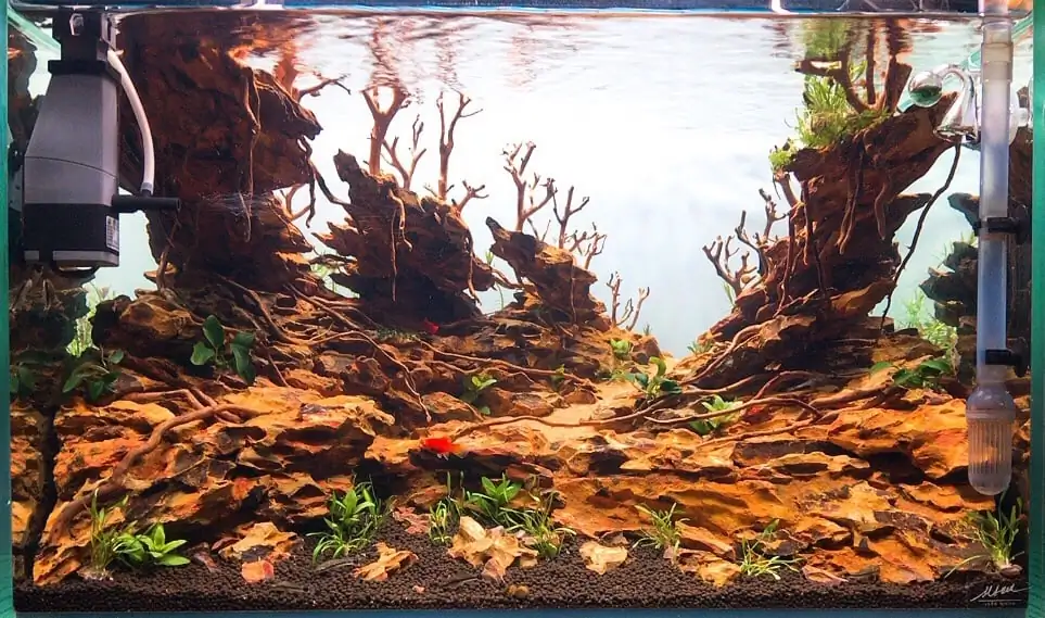 How to make nature aquarium - IAPLC 2020 Rank 228 - Into the Sky