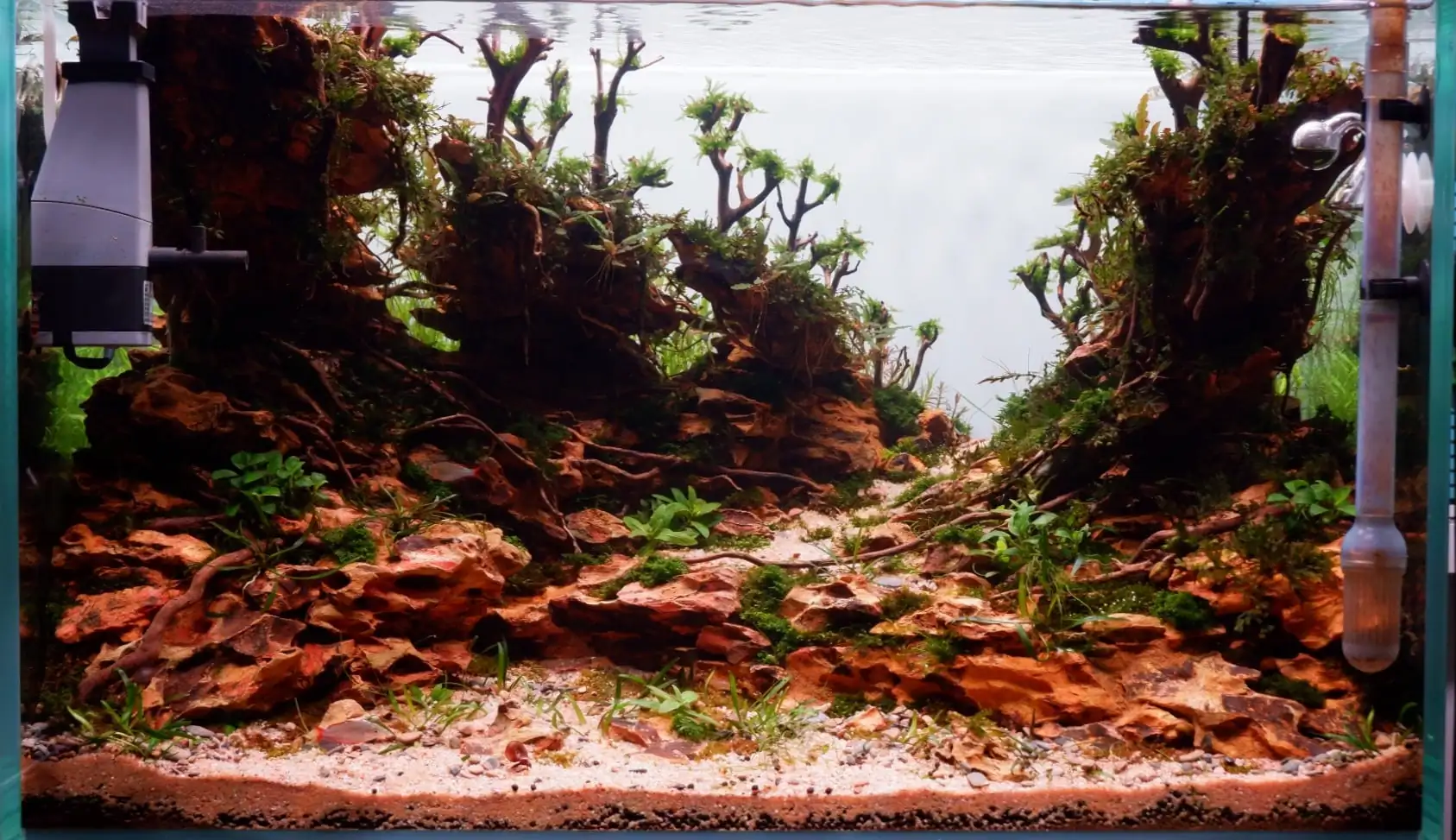 How to make nature aquarium - IAPLC 2020 Rank 228 - Into the Sky