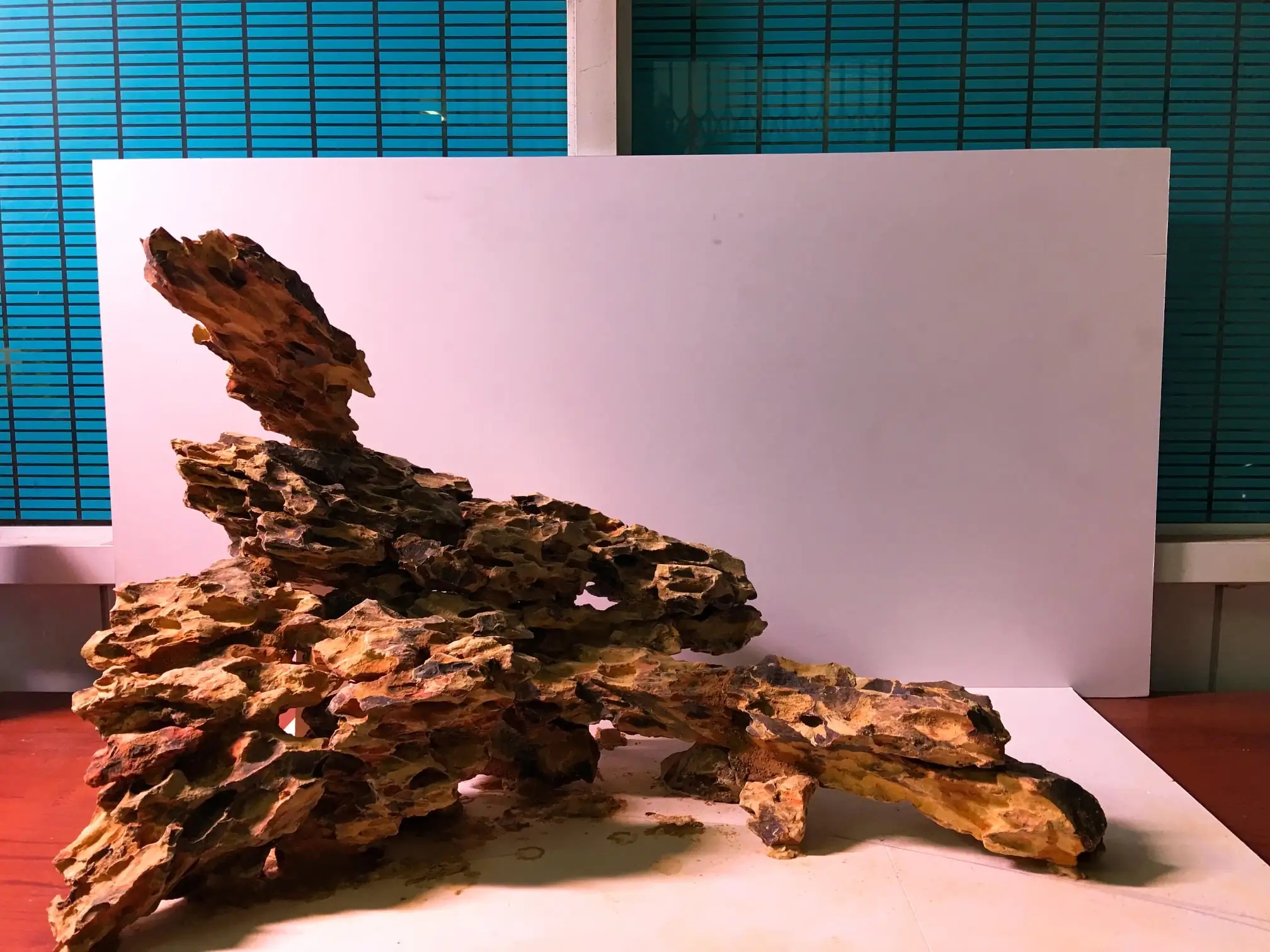 How to make nature aquarium - IAPLC 2020 Rank 228 - Into the Sky