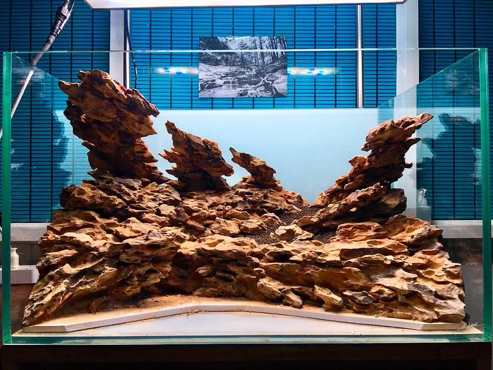 How to make nature aquarium - IAPLC 2020 Rank 228 - Into the Sky