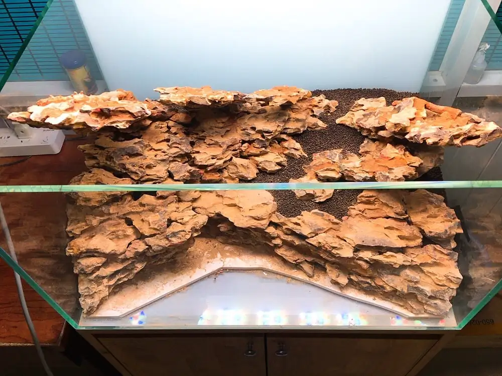 How to make nature aquarium - IAPLC 2020 Rank 228 - Into the Sky