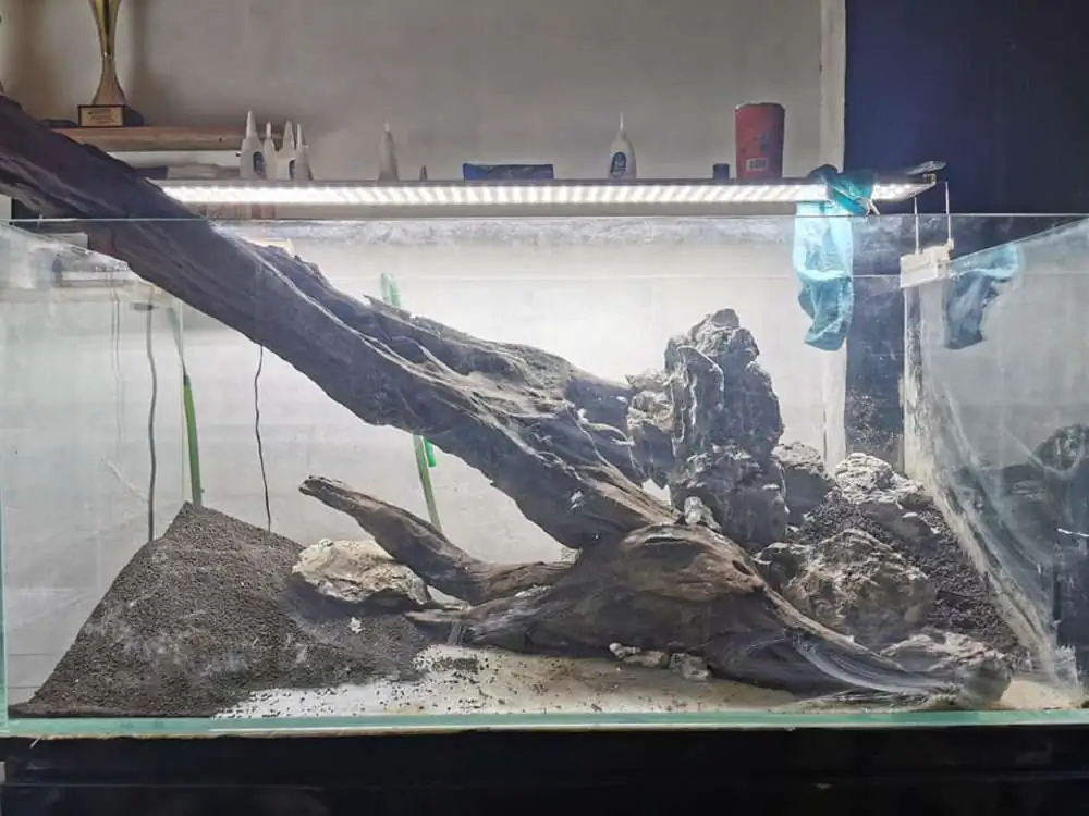 Step by step progression IAPLC 2020 Rank 232