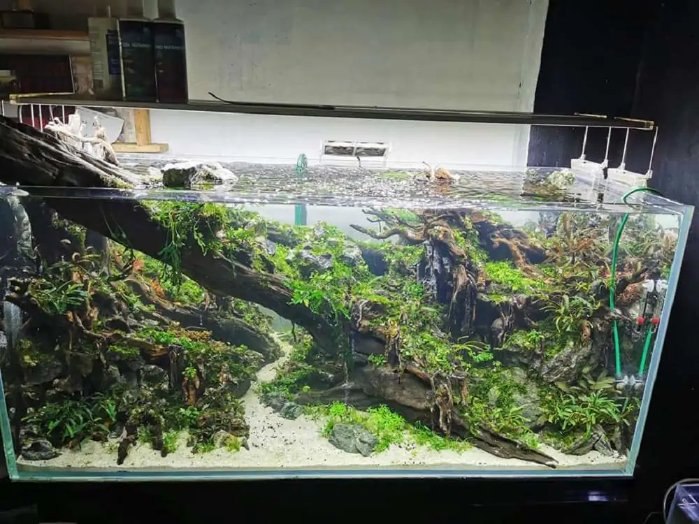 Step by step progression IAPLC 2020 Rank 232