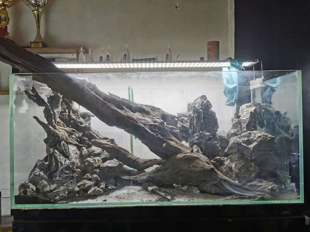 Step by step progression IAPLC 2020 Rank 232