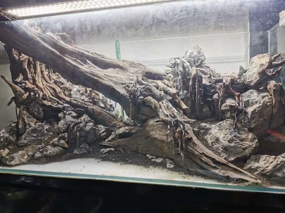 Step by step progression IAPLC 2020 Rank 232