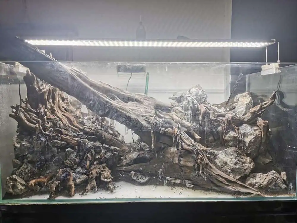 Step by step progression IAPLC 2020 Rank 232