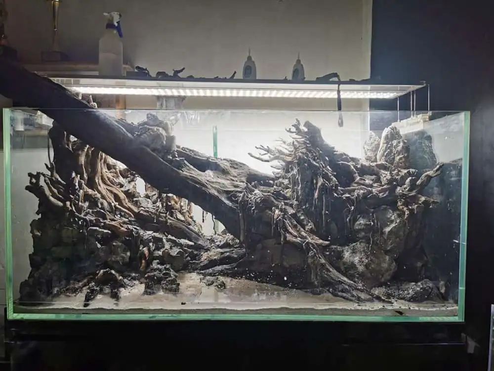 Step by step progression IAPLC 2020 Rank 232