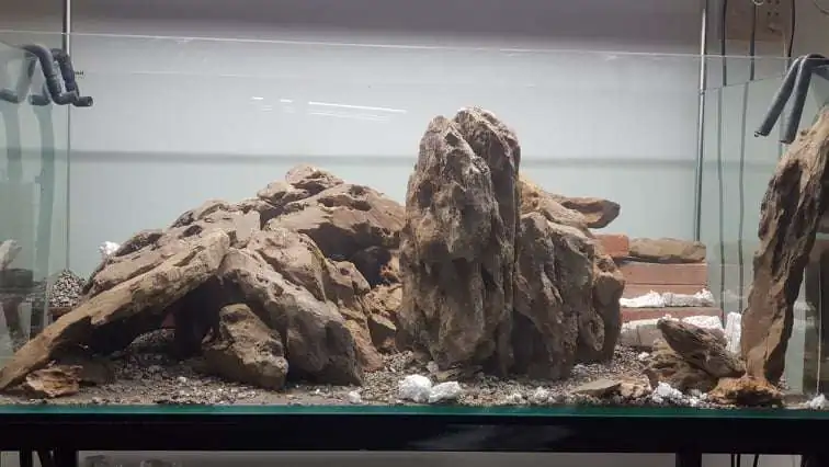 Step by step progression IAPLC 2020 Rank 254 - When the flood passed