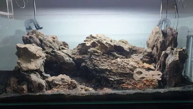 Step by step progression IAPLC 2020 Rank 254 - When the flood passed