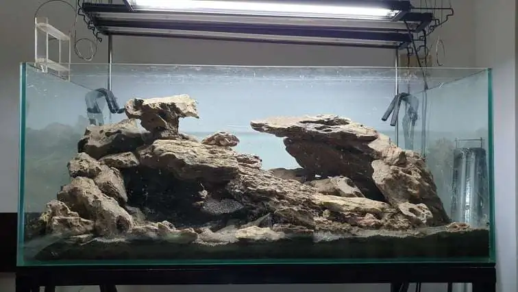 Step by step progression IAPLC 2020 Rank 254 - When the flood passed