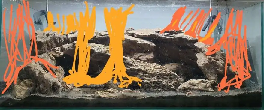 Step by step progression IAPLC 2020 Rank 254 - When the flood passed