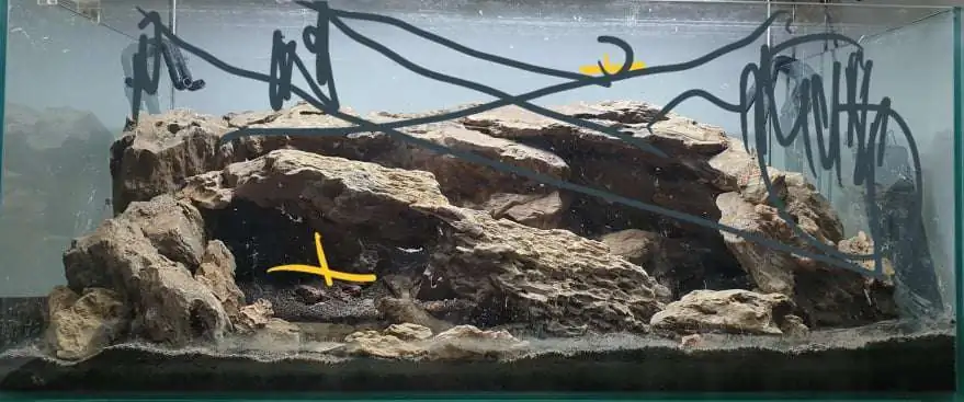 Step by step progression IAPLC 2020 Rank 254 - When the flood passed