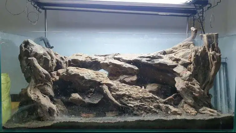 Step by step progression IAPLC 2020 Rank 254 - When the flood passed