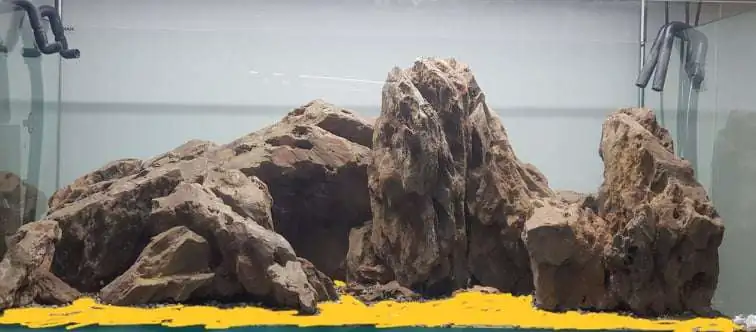 Step by step progression IAPLC 2020 Rank 254 - When the flood passed