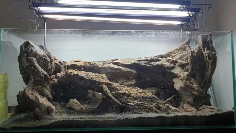 Step by step progression IAPLC 2020 Rank 254 - When the flood passed