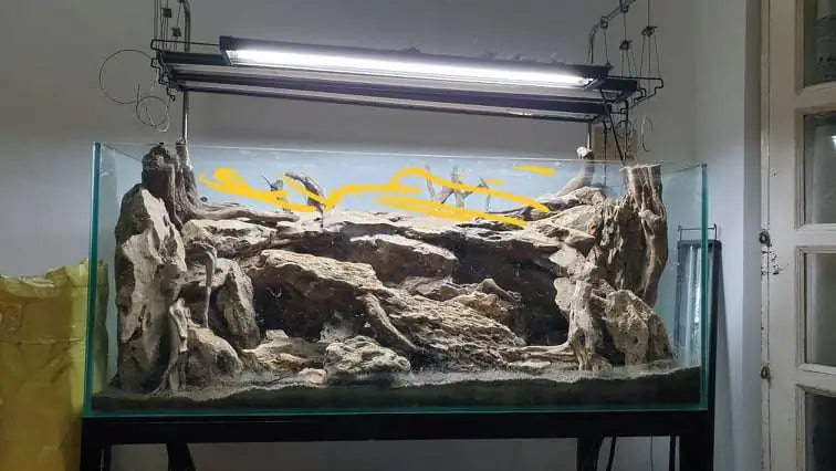 Step by step progression IAPLC 2020 Rank 254 - When the flood passed