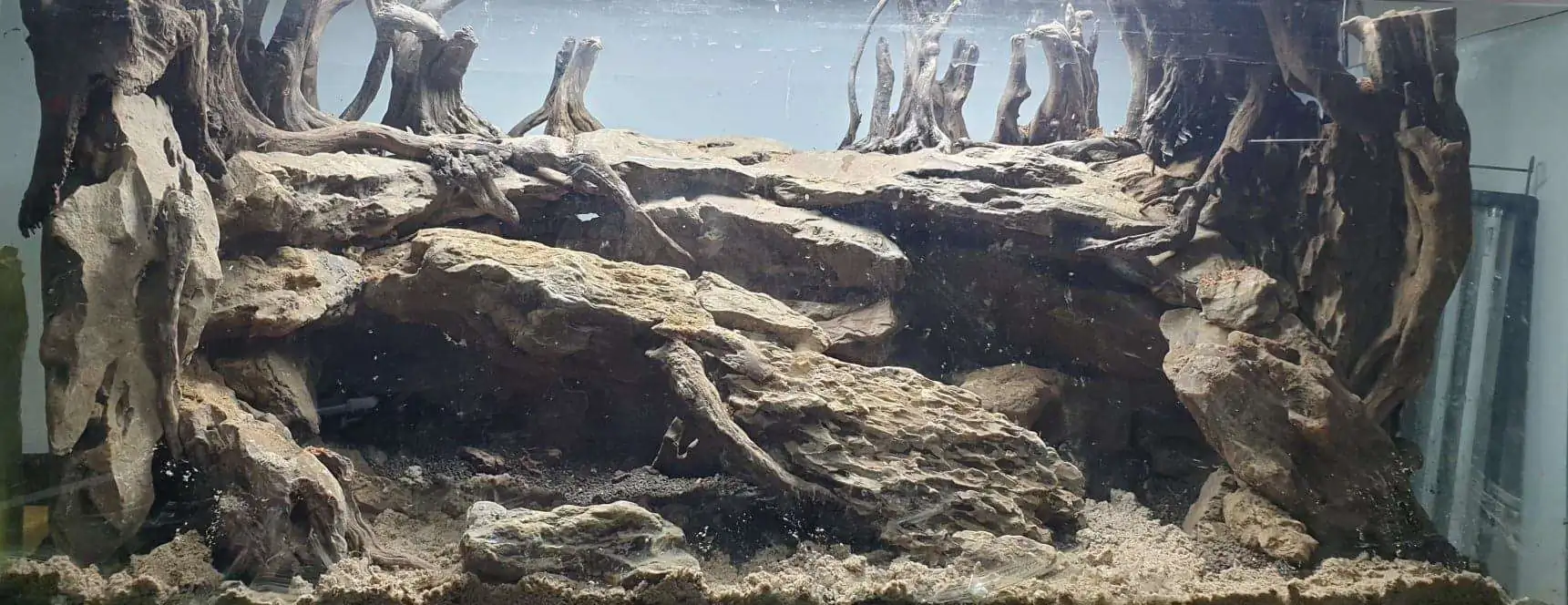 Step by step progression IAPLC 2020 Rank 254 - When the flood passed