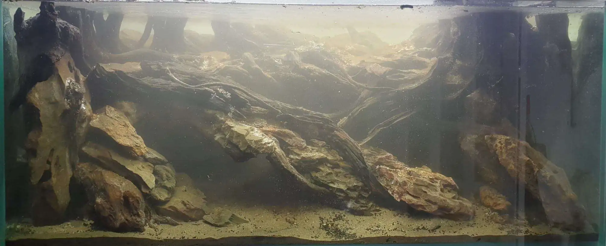 Step by step progression IAPLC 2020 Rank 254 - When the flood passed