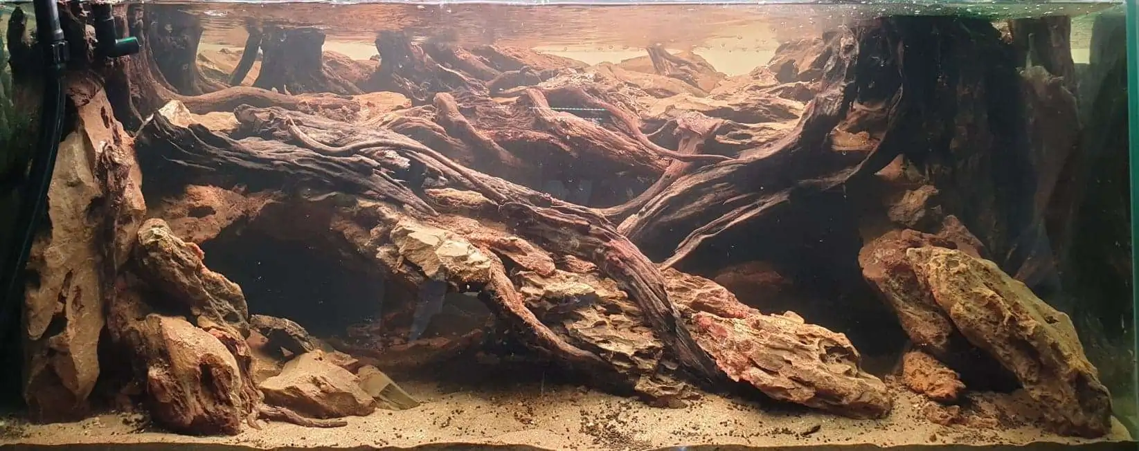 Step by step progression IAPLC 2020 Rank 254 - When the flood passed