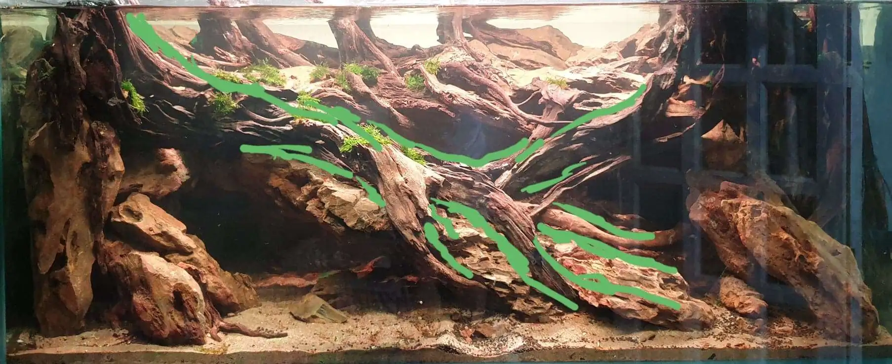 Step by step progression IAPLC 2020 Rank 254 - When the flood passed