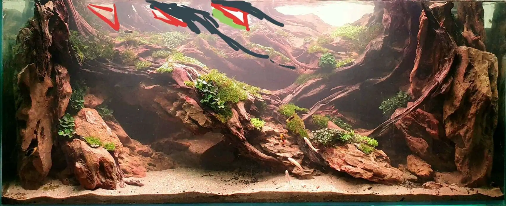 Step by step progression IAPLC 2020 Rank 254 - When the flood passed