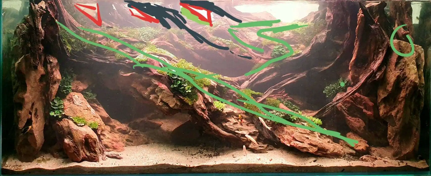 Step by step progression IAPLC 2020 Rank 254 - When the flood passed