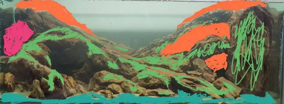 Step by step progression IAPLC 2020 Rank 254 - When the flood passed