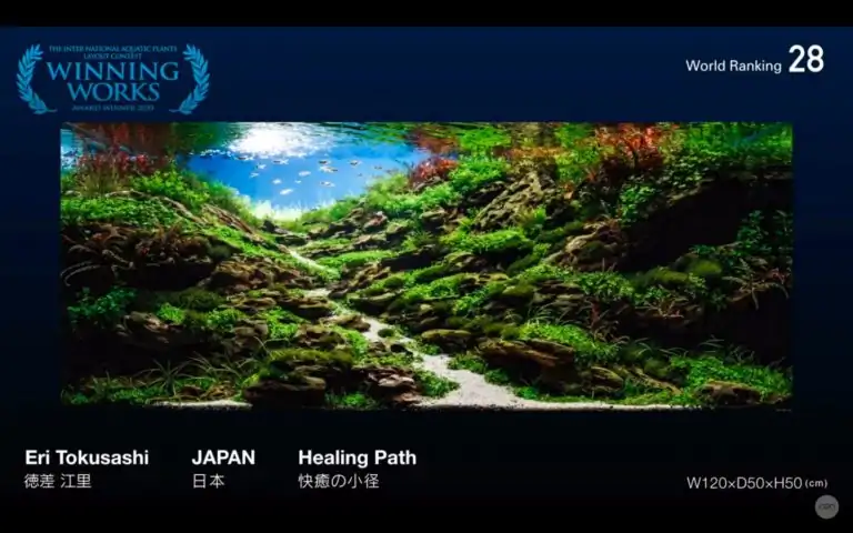Steps progression IAPLC 2020 Rank 28 Healing Path - Eri Tokusashi / Japan