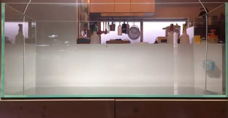 Steps progression IAPLC 2020 Rank 28 Healing Path - Eri Tokusashi / Japan