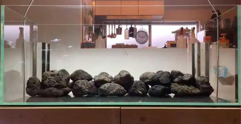 Steps progression IAPLC 2020 Rank 28 Healing Path - Eri Tokusashi / Japan