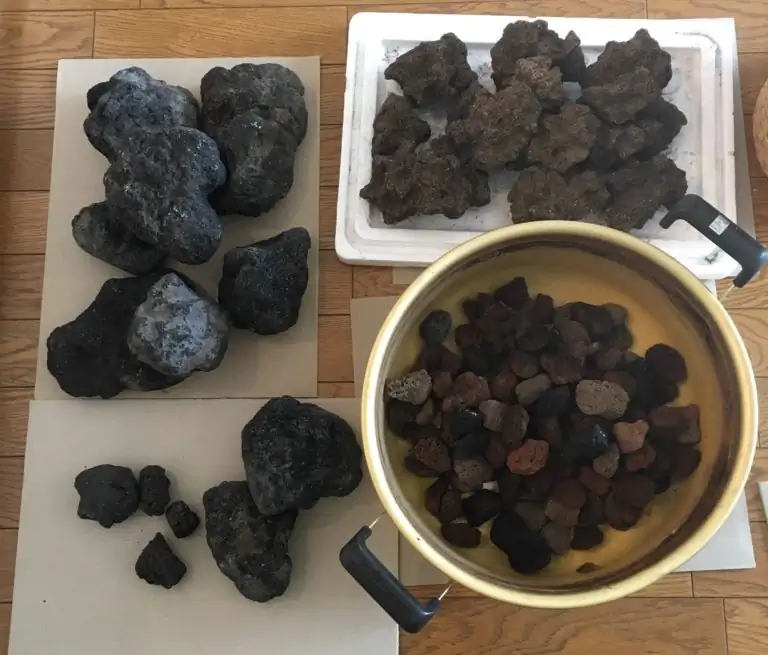 Steps progression IAPLC 2020 Rank 28 Healing Path - Eri Tokusashi / Japan