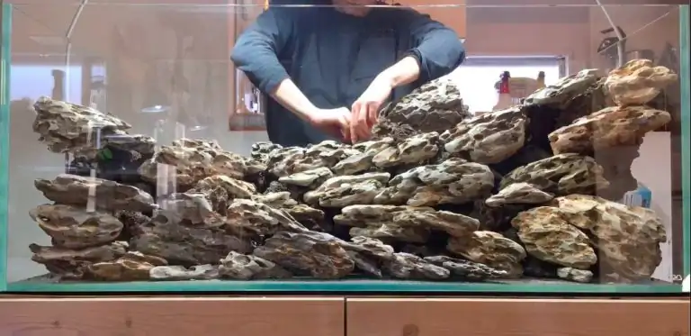 Steps progression IAPLC 2020 Rank 28 Healing Path - Eri Tokusashi / Japan