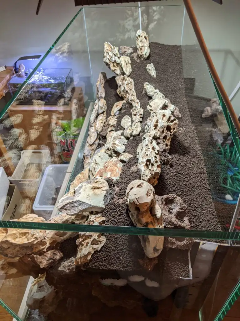 Steps progression IAPLC 2020 Rank 28 Healing Path - Eri Tokusashi / Japan