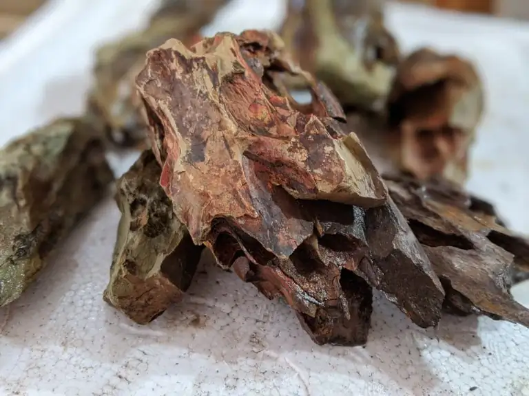 Steps progression IAPLC 2020 Rank 28 Healing Path - Eri Tokusashi / Japan