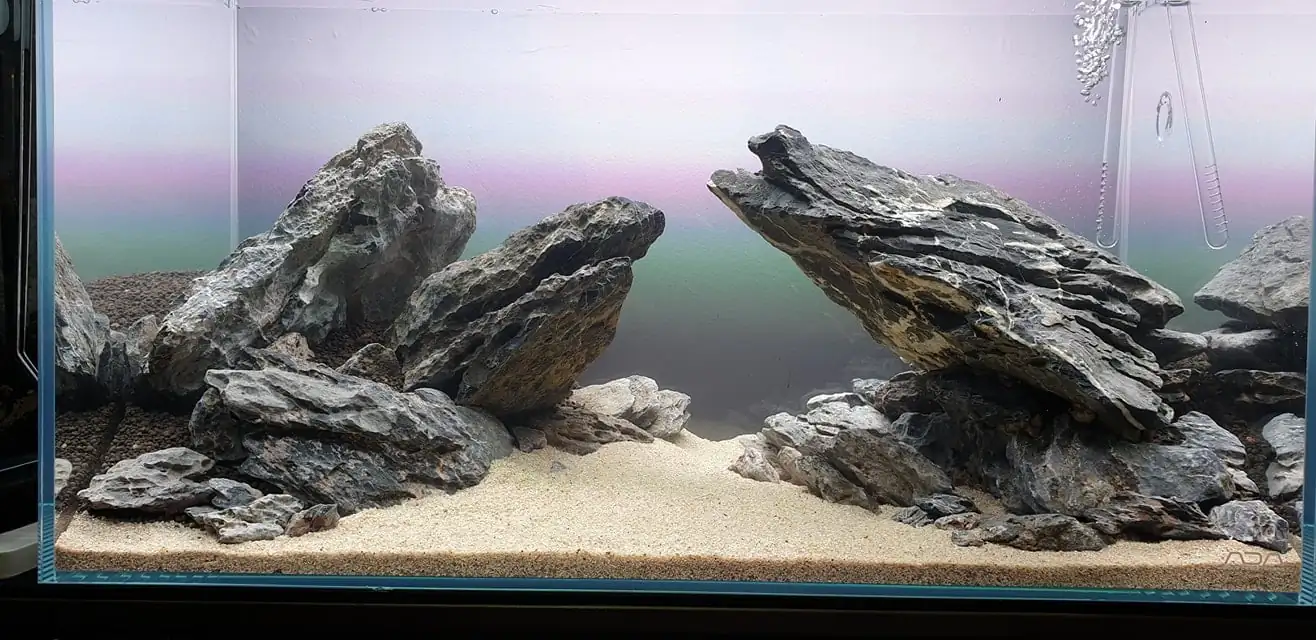 How to make nature aquarium - IAPLC 2020 Rank 289 - The Arising