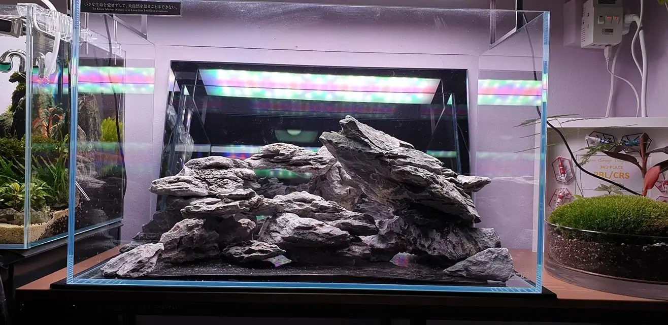 How to make nature aquarium - IAPLC 2020 Rank 289 - The Arising